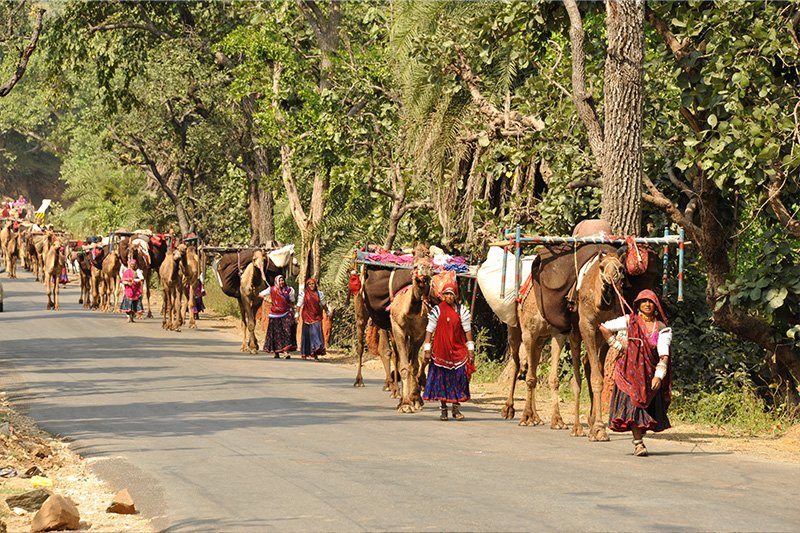 Tribal India Tour Image 5